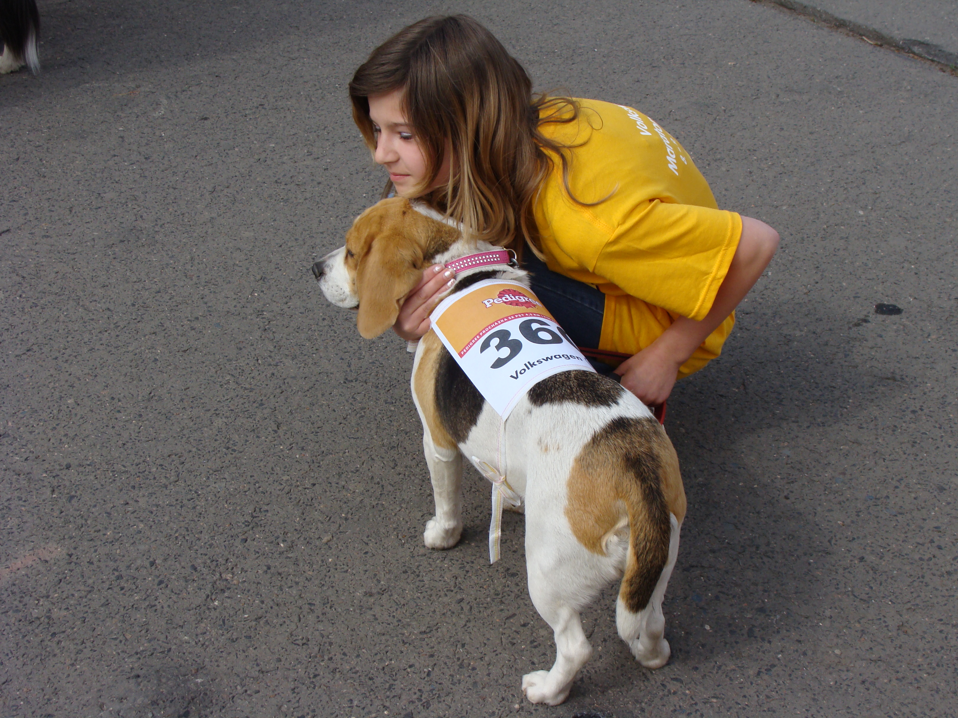 pedigri-maraton-ve-stomovce-8.kvetna-2010.-040