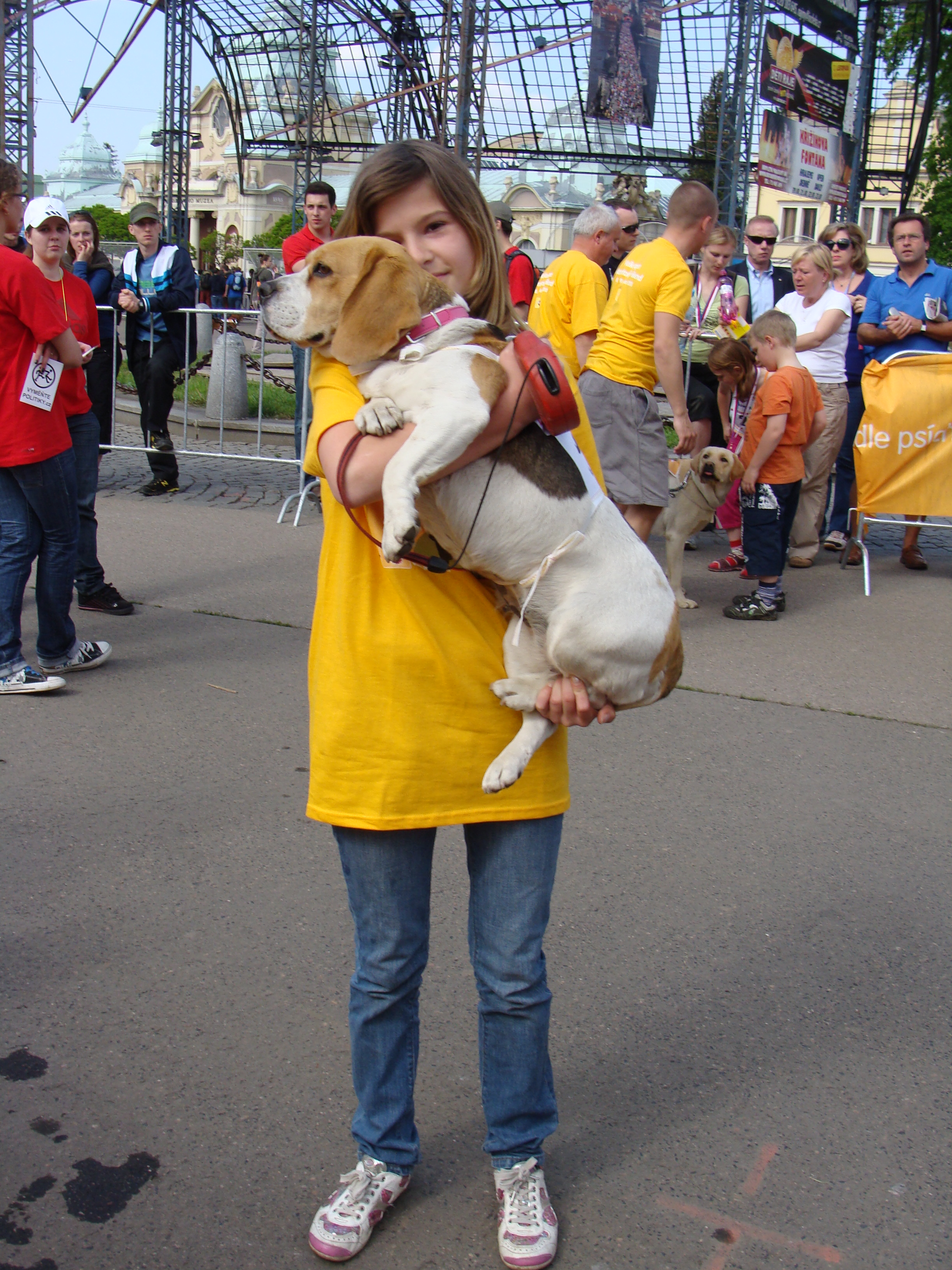 pedigri-maraton-ve-stomovce-8.kvetna-2010.-044