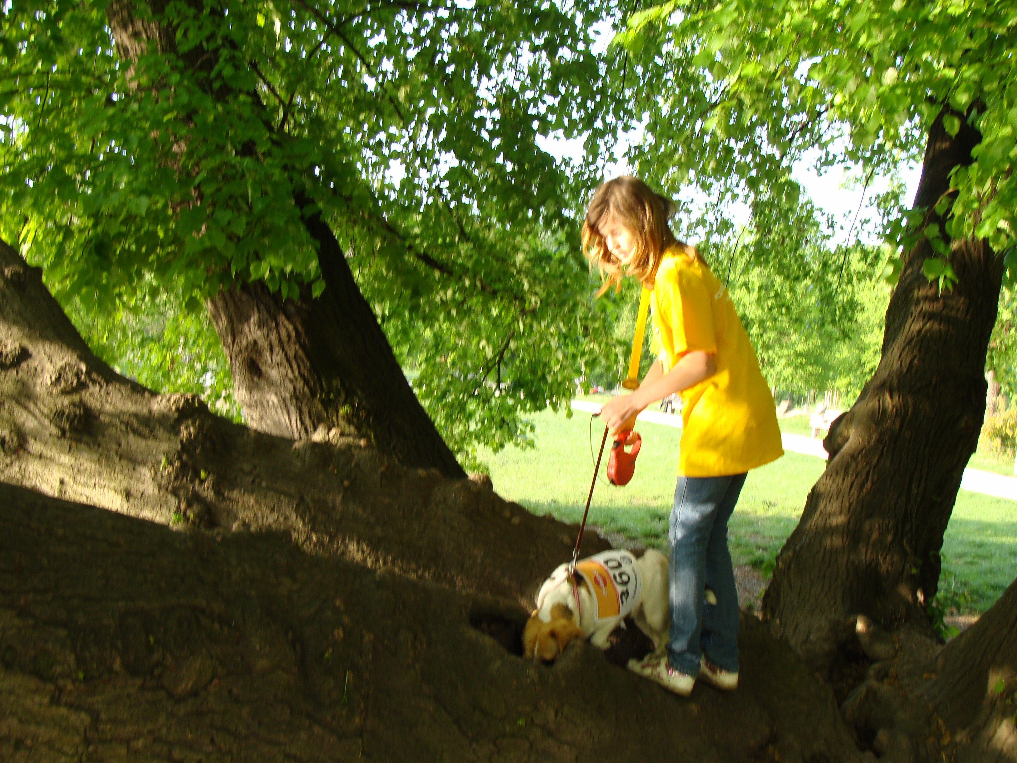 pedigri-maraton-ve-stomovce-8.kvetna-2010.-058