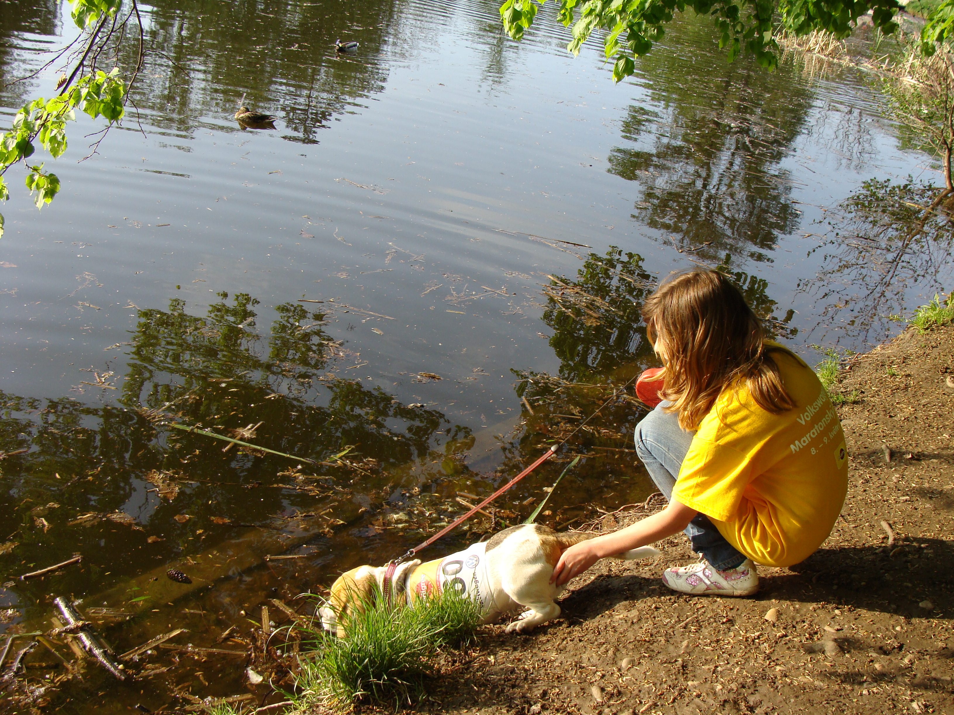 pedigri-maraton-ve-stomovce-8.kvetna-2010.-059